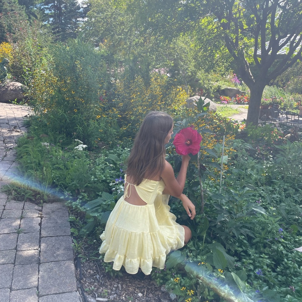 Windsor Yellow Mini Dress